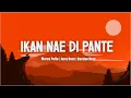 Download Lagu Ikan Nae Di Pante - Alfred Gare ft. PAX Group (Lirik) - Lagu Timur Terbaru 2024