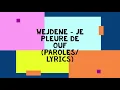 Download Lagu Wejdene - JE PLEURE DE OUF (paroles/lyrics)