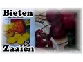Download Lagu De Moestuin #31: Bieten Zaaien