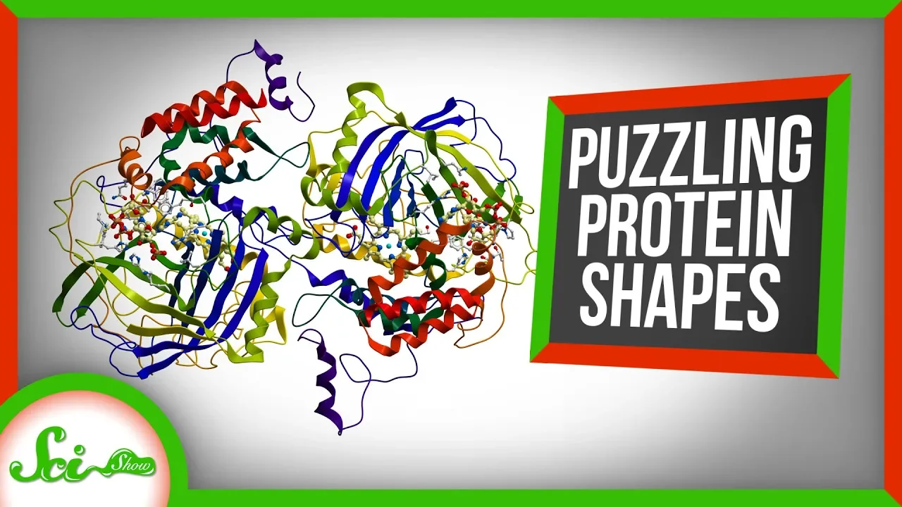 How Protein Shapes Help Us Make Medicine