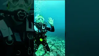 #SHARKS everywhere #diving Kicker Rock Galapagos! #shorts #sailing #galápagos Visit us on YouTube