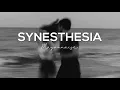 Mayonnaise - Synesthesia (slowed + reverb + lyrics)