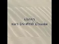 เลิกรา - แมว จิระศักดิ์ ปานพุ่ม