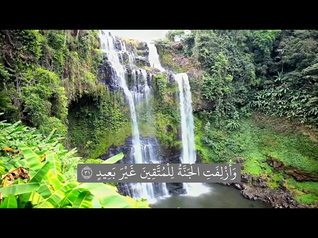 ⁣قَالَ لَا تَخۡتَصِمُوا۟ لَدَیَّ وَقَدۡ قَدَّمۡتُ إِلَیۡكُم بِٱلۡوَعِیدِ .. || القارئ فيصل مطر