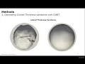 Download Lagu Generating planetary satellite crustal thickness variations with Coreform Cubit