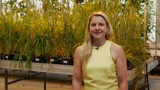 How Plants Glow Preparing for ESA s FLEX Satellite Mission