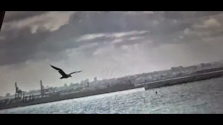 سألوني الناس فيروز الرواق 