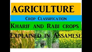 Download Agriculture (কৃষি বিজ্ঞান)|| Kharif and Rabi crops || Assamese || ADO||APSC MP3