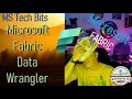 Microsoft Fabric Introduction to Data Wrangler