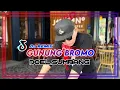 Download Lagu DJ GUNUNG BROMO - DOEL SUMBANG [remix]