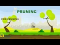 Pruning in Decision Trees