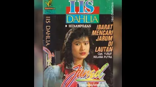 Download Iis Dahlia - Ibarat Mencari Jarum Di Lautan MP3