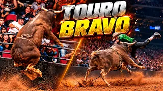TOURO BRAVO provoca momentos de TENSÃO na arena de rodeio