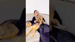 لما تجيب لامك كلب البيت القيصر  لما تجيب لامك كلب البيت القيصر