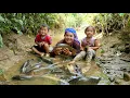 Download Lagu how to harvest giant river fish to sell at market - cook egg porridge for little daughter to eat