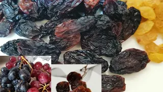 طريقه عمل الزبيب           زبيب   عنب دندنها