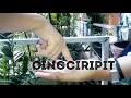 Download Lagu Permainan cingciripit