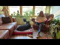 Jim Hodges Dog Training Puppy Dos and Donts - Puppy House Training Puppy Potty Training
