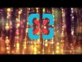 Pro Party Planner 30s Introduction