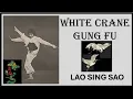 Lagu WHITE CRANE GUNG FU - LAO SING SAO