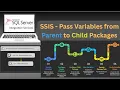 SSIS - Pass Variables from Parent to Child Packages Execute Package Task Script Task