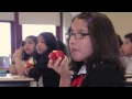 CPS Summer Meals Programs
