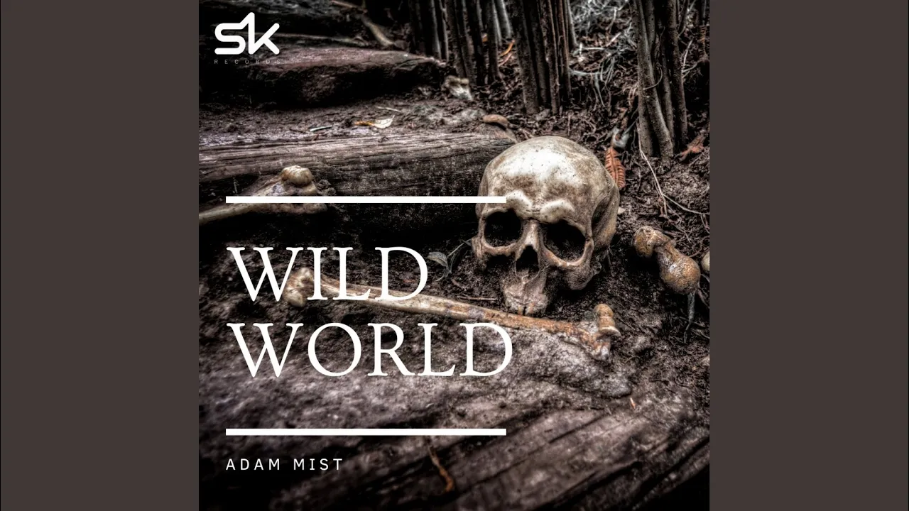 Wild World (Original Mix) Wild World (Original Mix)