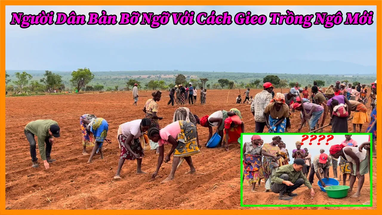 Quang Dũng || Người Dân Bản Mới Bỡ Ngỡ Với Cách Gieo Trồng Hạt Giống Ngô Mới !!!