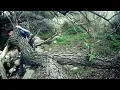 Las Pelotas - Siempre estará (video oficial) HD