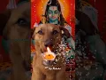 Download Lagu Om Jai Shiv Omkara Lord Shiva Aarti ANURADHA PAUDWAL #aarti #full #audio #song #shortsfeed #shorts