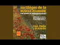 Download Lagu Sirba de la Seaca