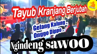 Download Tayub Kranjang Berjubah//Gelang Kalung//Seni Gajah Onggo Dippo//Ngindeng Sawoo Ponorogo MP3