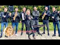 Download Lagu Alexandra Cret - Colaj de Ardeal  ( MUZICA DE PETRECERE )