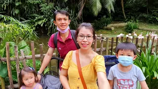 Download Jurong Bird Park Singapore with Brayden and Elena MP3