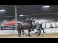 170k - 125k 2025 Gordyville Draft Horse Sale 2 top sellers