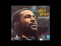 Marvin Gaye ~ Mercy Mercy Me (The Ecology) 1971 Soul Purrfection Version
