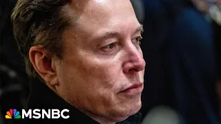 ‘He’s been exposed’: Tesla flounders as Elon Musk poisons the brand