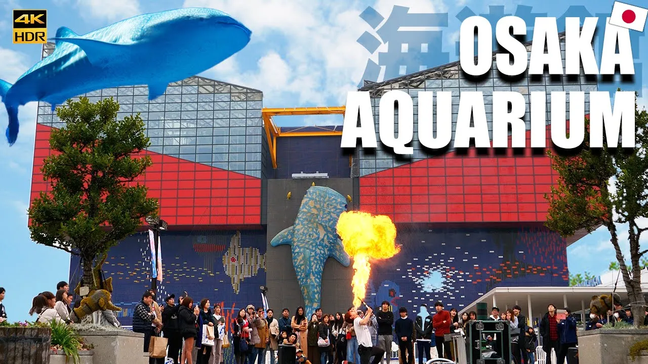 🇯🇵Osaka Aquarium "Kaiyukan" [海遊館] Travel Guide by Local Osakan Japanese! #218