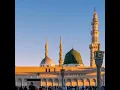 ودوني
