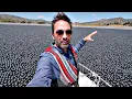 Download Lagu Why Are 96,000,000 Black Balls on This Reservoir?