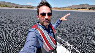 Warum befinden sich 96.000.000 schwarze Kugeln auf diesem Reservoir