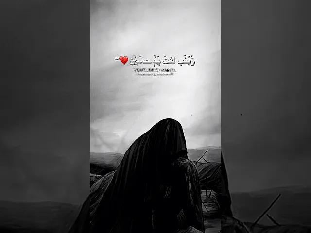 ⁣زينب لفت يم حسين لاچن گابعه بالهم💔ستوري استشهاد الامام الحسين حالات واتساب يوم العاشر|قحطان البديري