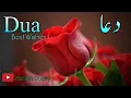 Download Lagu Happy Birthday Wishes Poetry | Best Wishes | Birthday Dua WhatsApp Status | Dua Shayari