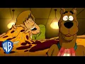 Download Lagu Scooby-Doo! em Português | Brasil | Terminar Isso é Tão Fácil Como Comer Pizza 🍕 | WB Kids