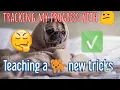 Improve My Vocabulary with Vocab com The Best