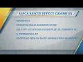 ASPCA Rescue Effect Campaign 2025