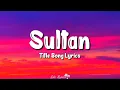 Sultan Title Song (Lyrics) Salman Khan, Anushka Sharma, Shadab, Sukhwinder Singh