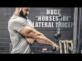 5 Horseshoe Tricep Exercises YOU RE MISSING THESE