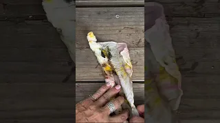 How to Bundle Dye a Silk Scarf Eco Printing with Flowers Botanicals