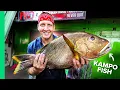 Download Lagu Extreme HALAL Food in Makassar, Indonesia!!! (do they really eat that?)